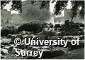 Photograph showing the water cascade being built at the University of Surrey Stag Hill Campus