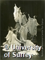 Five unique images of between seven and twelve dancers wearing angel costume (with wings and a halo) and standing in various poses on a set of stairs. All of the prints are marked by the photographer. The photographs were originally in an envelope addresses to Madge Atkinson from T Longworth Cooper with the words Hansel and Gretel "Angel Ballet".

The dance appears in Natural Movement theatre programmes from 1927-1936.